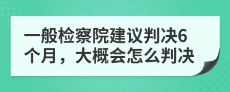 一般检察院建议判决6个月，大概会怎么判决