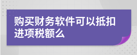 购买财务软件可以抵扣进项税额么