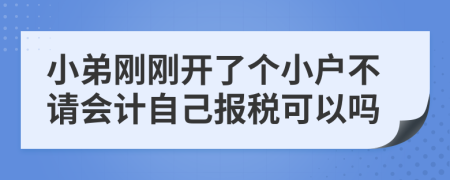 小弟刚刚开了个小户不请会计自己报税可以吗