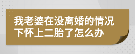 我老婆在没离婚的情况下怀上二胎了怎么办