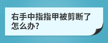 右手中指指甲被剪断了怎么办?