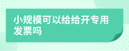小规模可以给给开专用发票吗