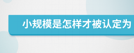 小规模是怎样才被认定为