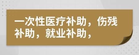 一次性医疗补助，伤残补助，就业补助，