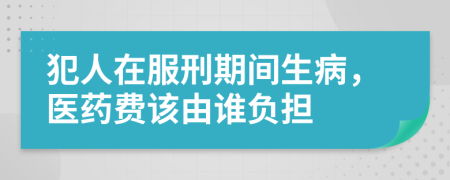 犯人在服刑期间生病，医药费该由谁负担