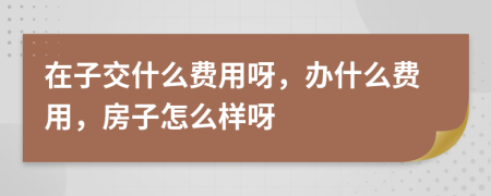 在子交什么费用呀，办什么费用，房子怎么样呀