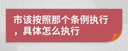 市该按照那个条例执行，具体怎么执行