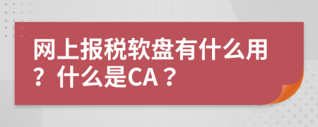 网上报税软盘有什么用？什么是CA？