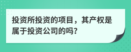 投资所投资的项目，其产权是属于投资公司的吗？