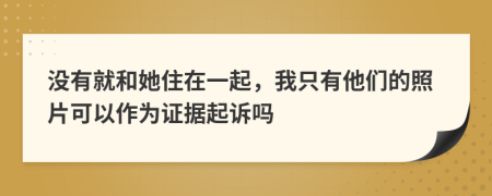 没有就和她住在一起，我只有他们的照片可以作为证据起诉吗