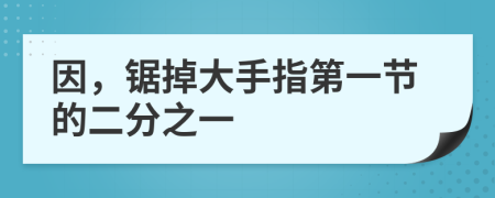 因，锯掉大手指第一节的二分之一