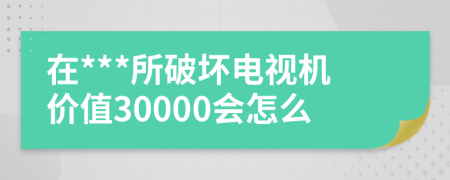 在***所破坏电视机价值30000会怎么