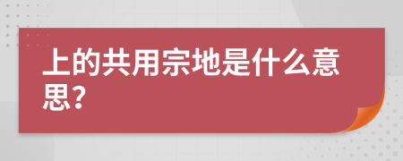上的共用宗地是什么意思？
