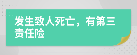 发生致人死亡，有第三责任险