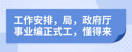 工作安排，局，政府厅事业编正式工，懂得来