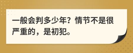 一般会判多少年？情节不是很严重的，是初犯。