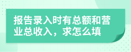 报告录入时有总额和营业总收入，求怎么填