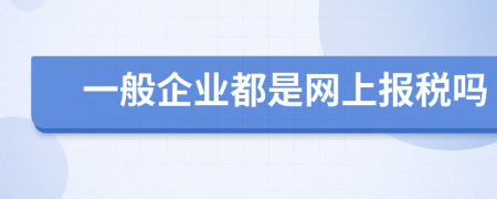 一般企业都是网上报税吗