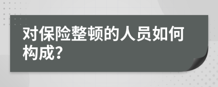 对保险整顿的人员如何构成？