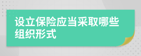 设立保险应当采取哪些组织形式