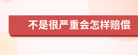 不是很严重会怎样赔偿