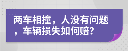 两车相撞，人没有问题，车辆损失如何赔？