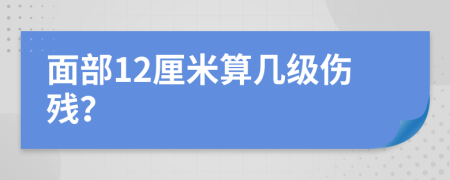 面部12厘米算几级伤残？