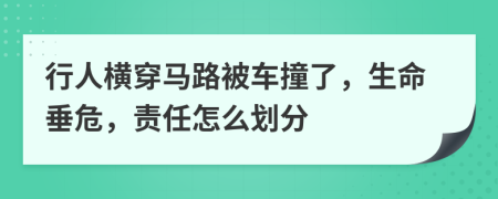 行人横穿马路被车撞了，生命垂危，责任怎么划分