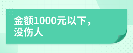 金额1000元以下，没伤人