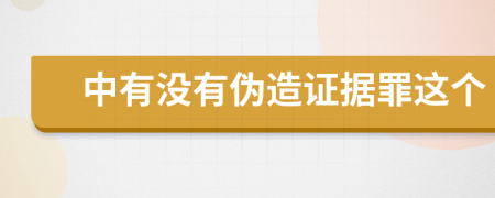 中有没有伪造证据罪这个