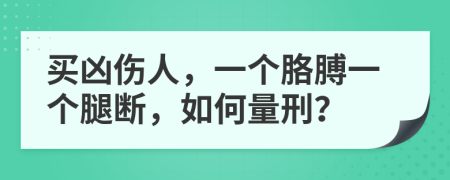 买凶伤人，一个胳膊一个腿断，如何量刑？