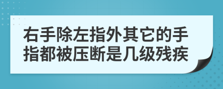 右手除左指外其它的手指都被压断是几级残疾