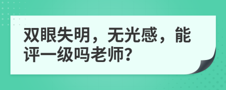 双眼失明，无光感，能评一级吗老师？