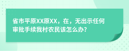 省市平原XX原XX，在，无出示任何审批手续我村农民该怎么办？