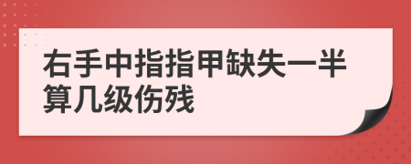 右手中指指甲缺失一半算几级伤残