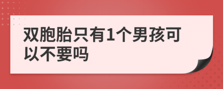 双胞胎只有1个男孩可以不要吗