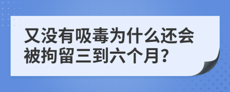 又没有吸毒为什么还会被拘留三到六个月？