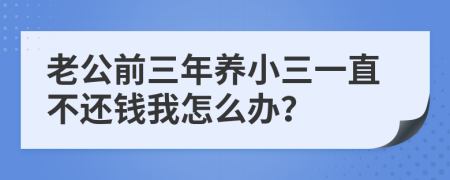 老公前三年养小三一直不还钱我怎么办？