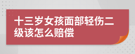 十三岁女孩面部轻伤二级该怎么赔偿