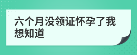 六个月没领证怀孕了我想知道