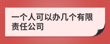 一个人可以办几个有限责任公司