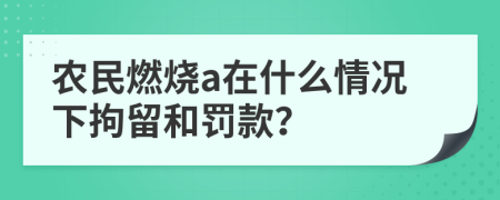 农民燃烧a在什么情况下拘留和罚款？