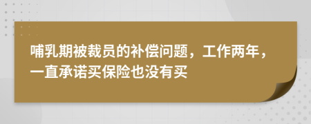 哺乳期被裁员的补偿问题，工作两年，一直承诺买保险也没有买