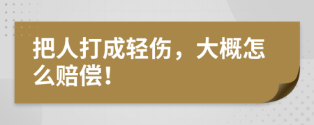 把人打成轻伤，大概怎么赔偿！