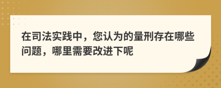 在司法实践中，您认为的量刑存在哪些问题，哪里需要改进下呢