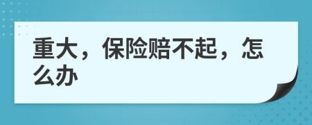 重大，保险赔不起，怎么办