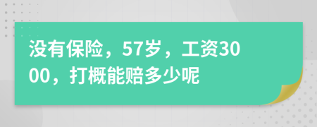 没有保险，57岁，工资3000，打概能赔多少呢