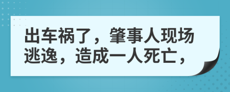 出车祸了，肇事人现场逃逸，造成一人死亡，