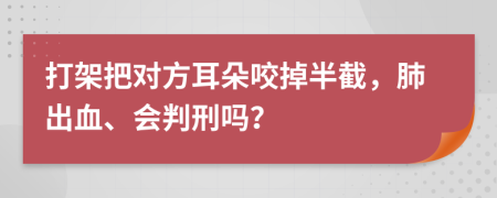 打架把对方耳朵咬掉半截，肺出血、会判刑吗？