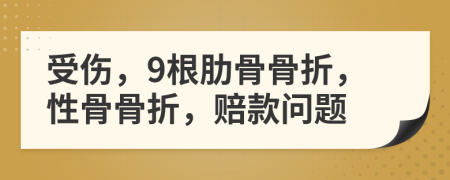 受伤，9根肋骨骨折，性骨骨折，赔款问题